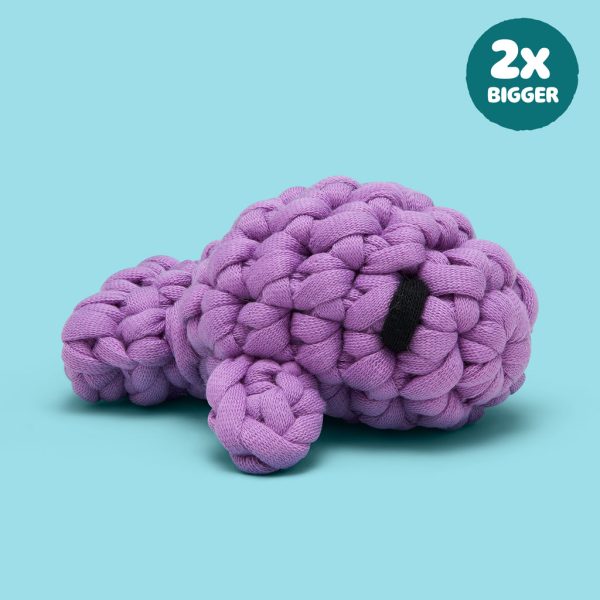 Extra Extra Squeeze All About It Bundle